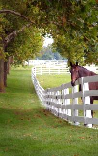 West Ga / Carrollton Homes, Farms & Land For Sale
